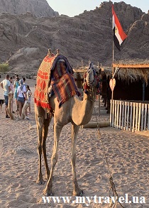 Деревня бедуинов в пустыне Египта