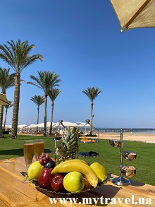 Шампанское и фрукты в отеле Rixos Premium Seagate 5*, Египет